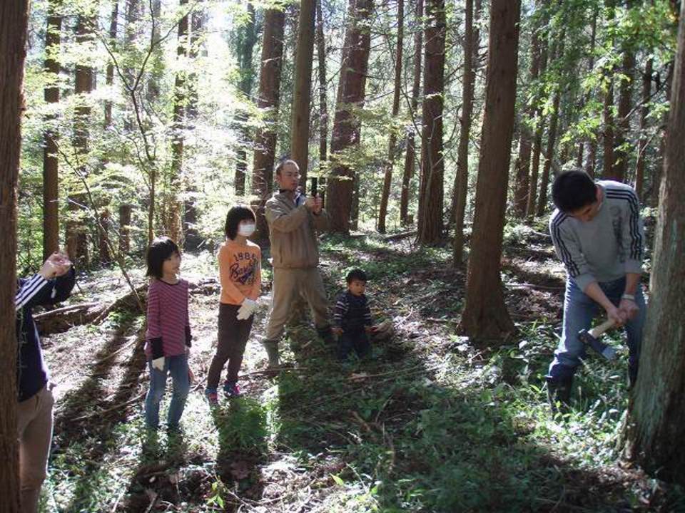 山の木伐採