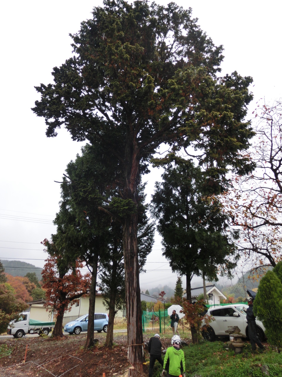 地鎮祭・伐採式