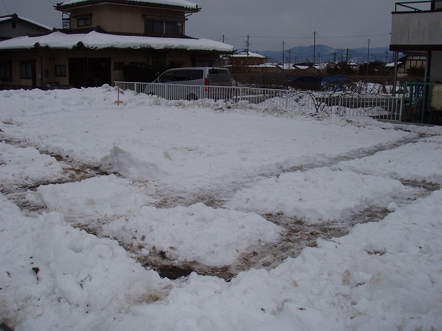 地縄張り