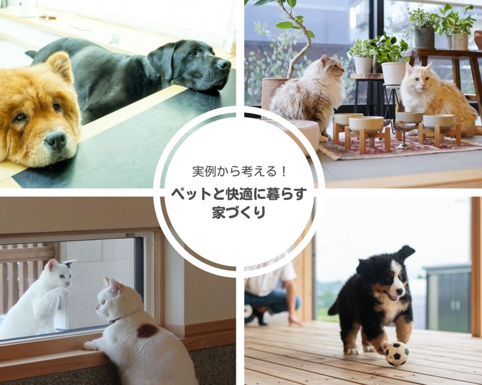 【学ぶ、信州の家。】実例から考える!ペットと快適に暮らす家づくりのポイント|3/7