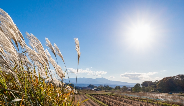 佐久市の田園風景