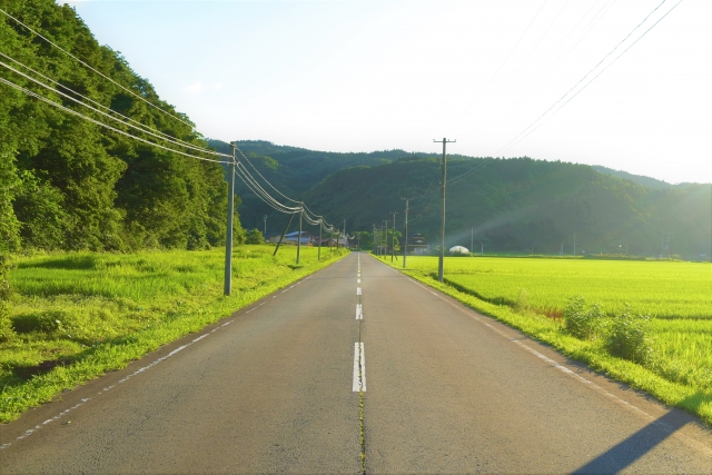 どこまでも山道