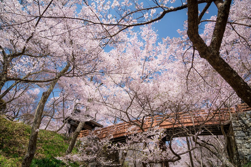 移住で人気の伊那市ってどんなところ？移住支援制度や住まいについてご紹介！