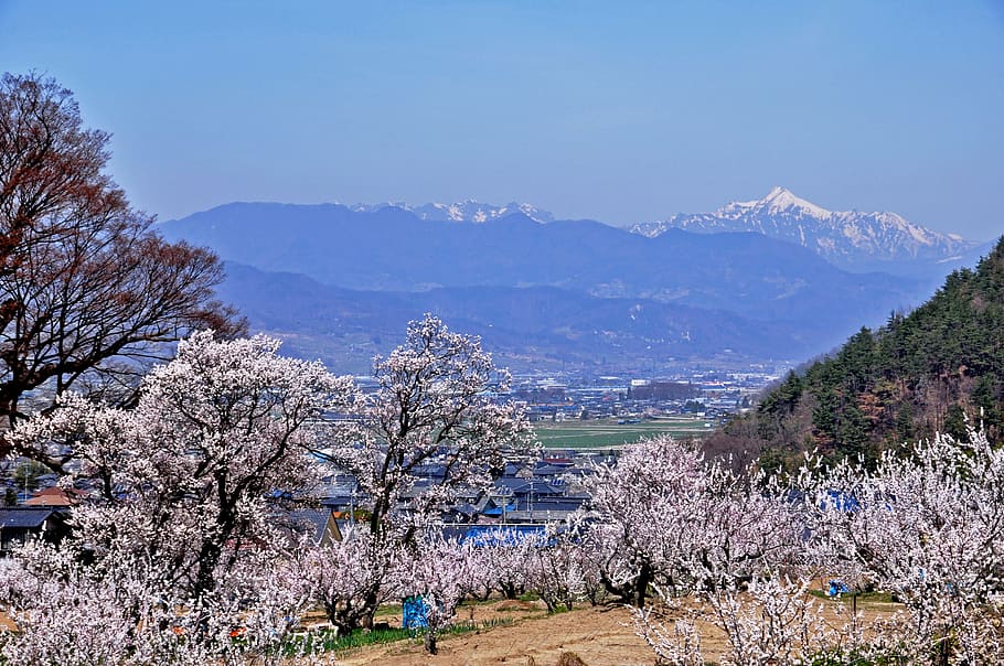 アルプスに抱かれた地方都市