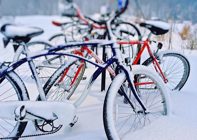 雪化粧した自転車