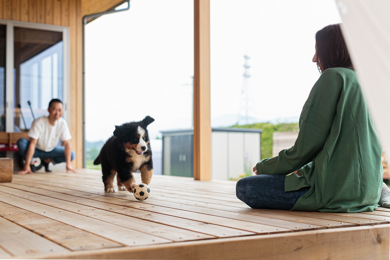 ウッドデッキで遊ぶ犬