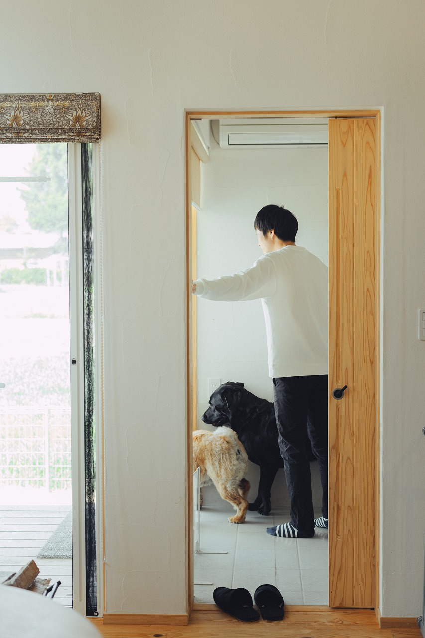 犬土間から外に出る犬