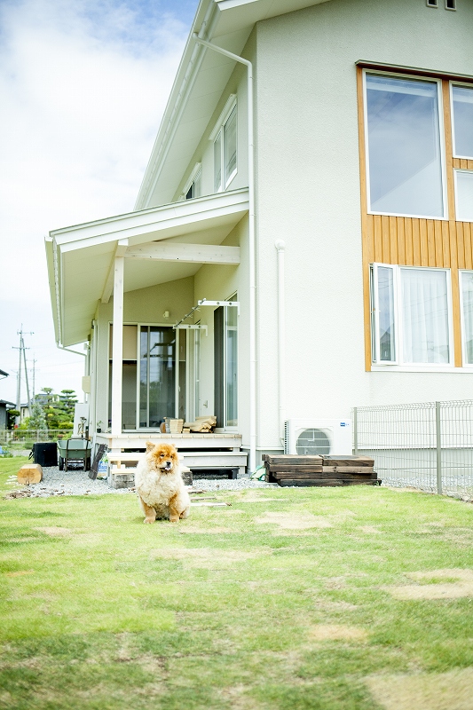 庭のドッグランと犬