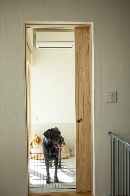 ペットガード越しの犬