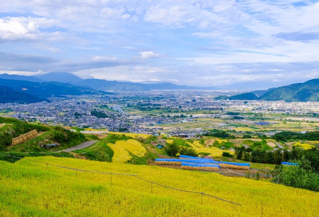 千曲市姨捨の棚田