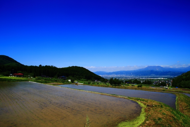 高山村の田園風景