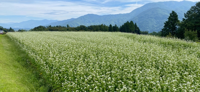 飯島町の風景