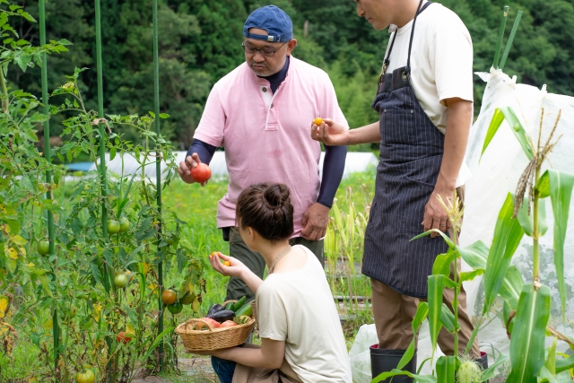 トマトを見て相談する人々