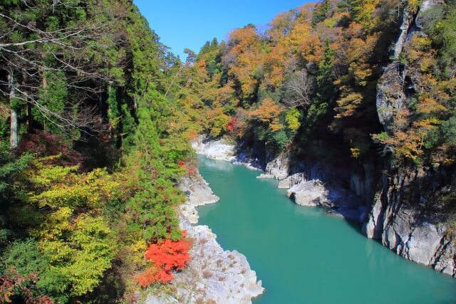 秋の天竜峡