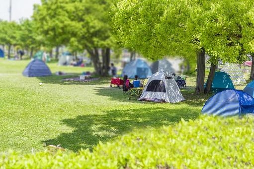 公園に設置してある複数のポップアップテント