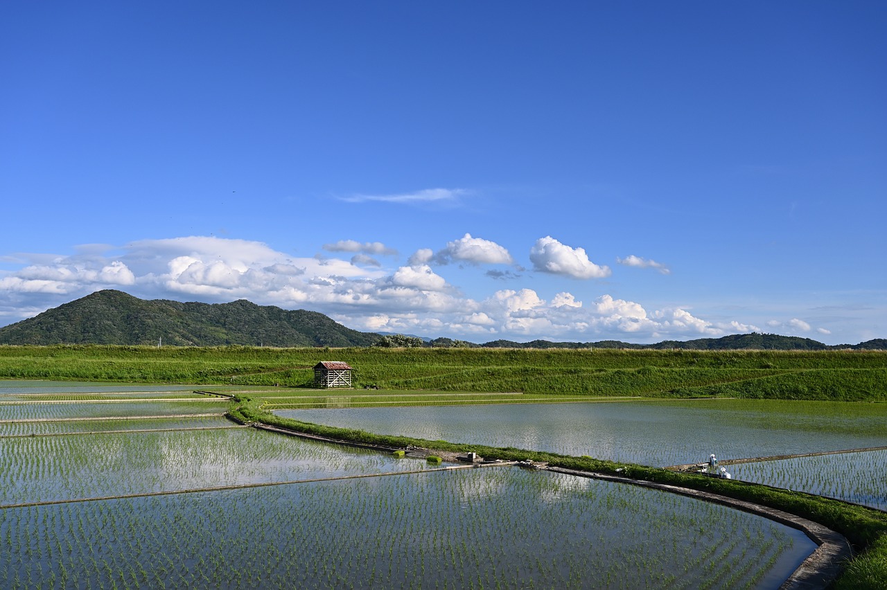 自然豊かな地域へ移住したい！おすすめのエリアや注意点をご紹介