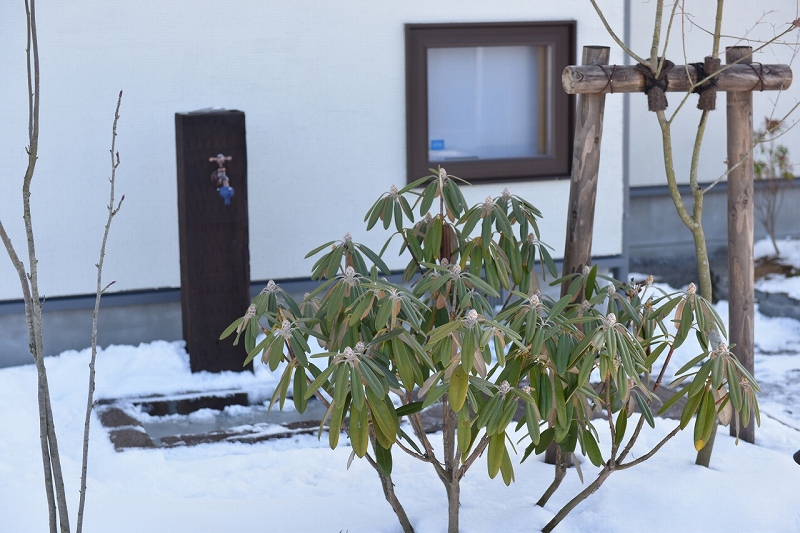 庭の立ち水栓