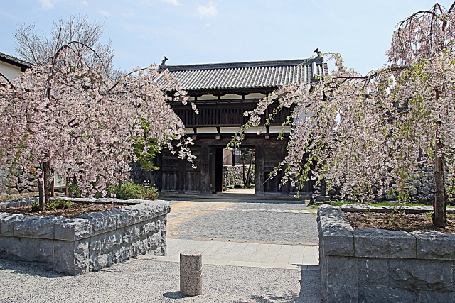 小諸城址公園