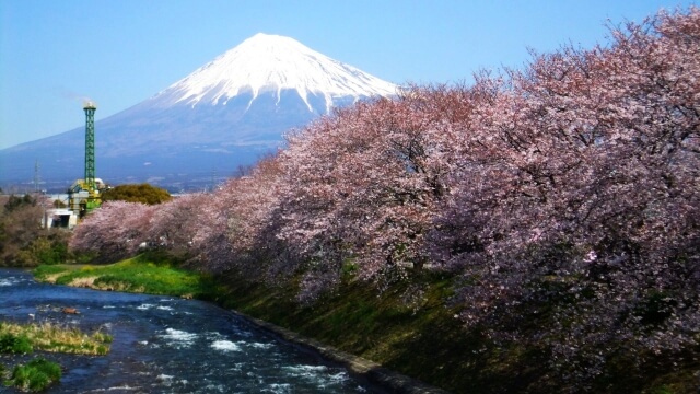 静岡の富士山