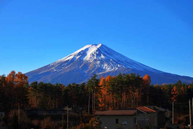 山梨の富士山