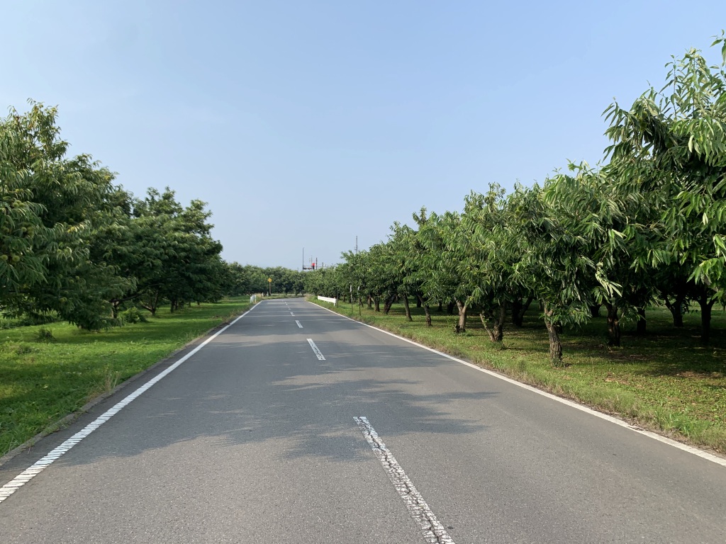 南国リゾートみたいで長野県とは思えません…